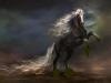 Natural Scenes (4)